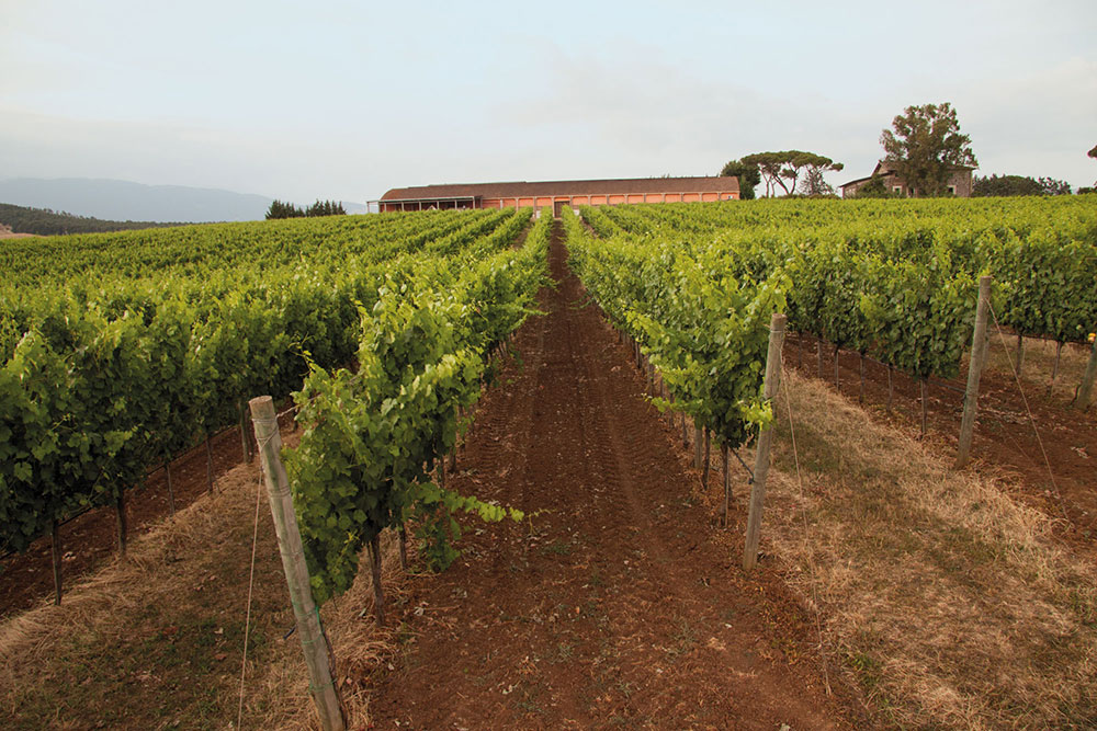 La cantina Corte dei Papi