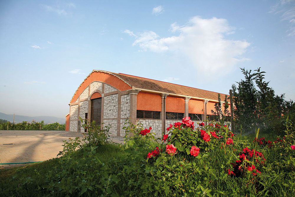 La cantina Corte dei Papi